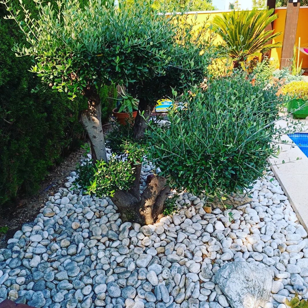 Diseños de jardines Salou Diseños de jardines Salou