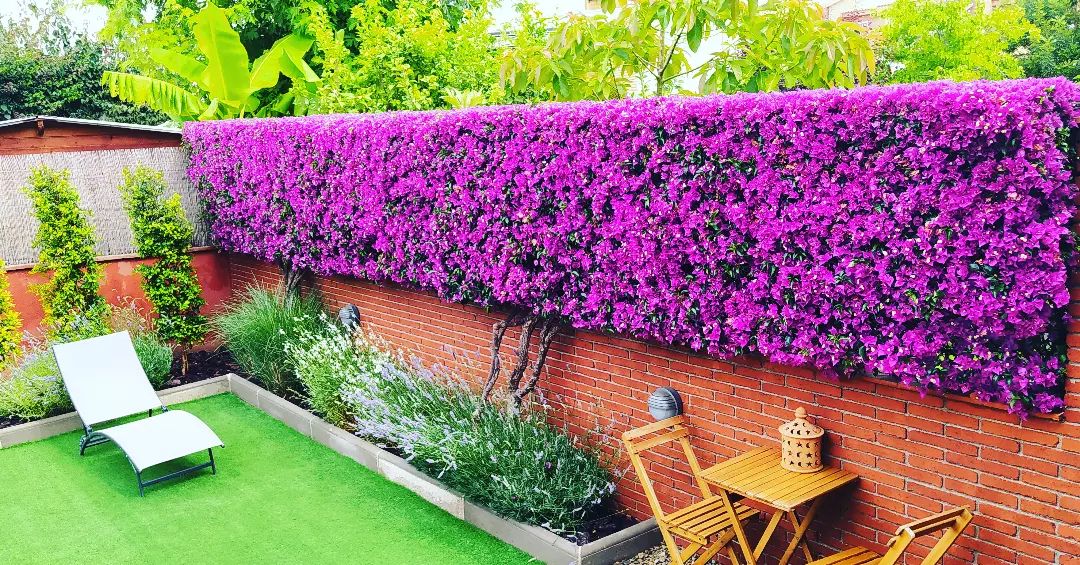 Jardinería ART VERD Tarragona Jardinería ART VERD Tarragona