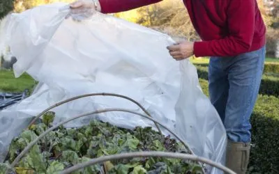 Como cuidar un jardín en invierno