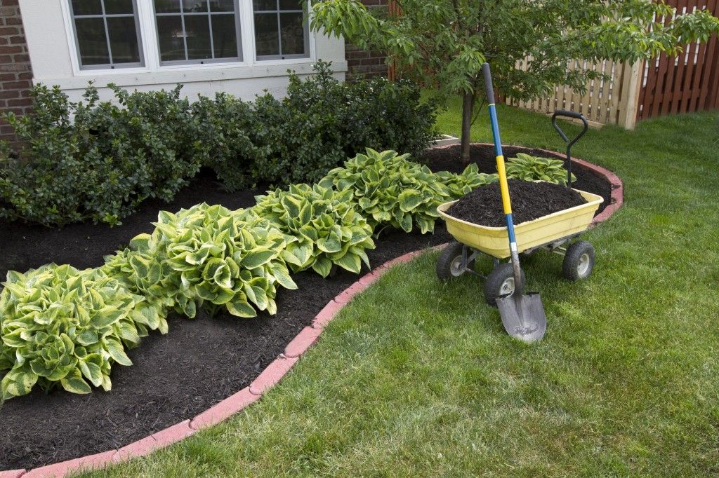 mantenimiento jardines Reus mantenimiento jardines Reus