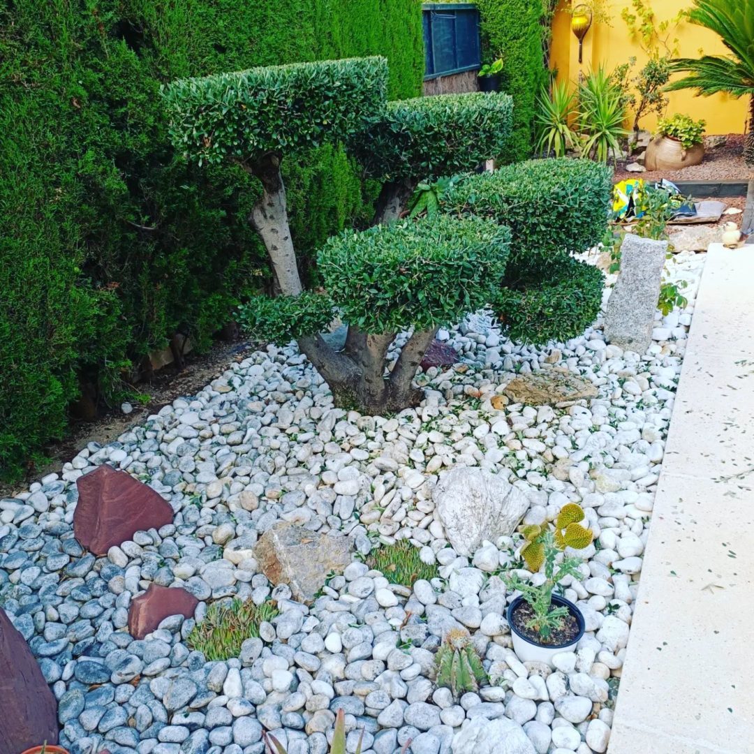 diseño y mantenimiento de jardines 1