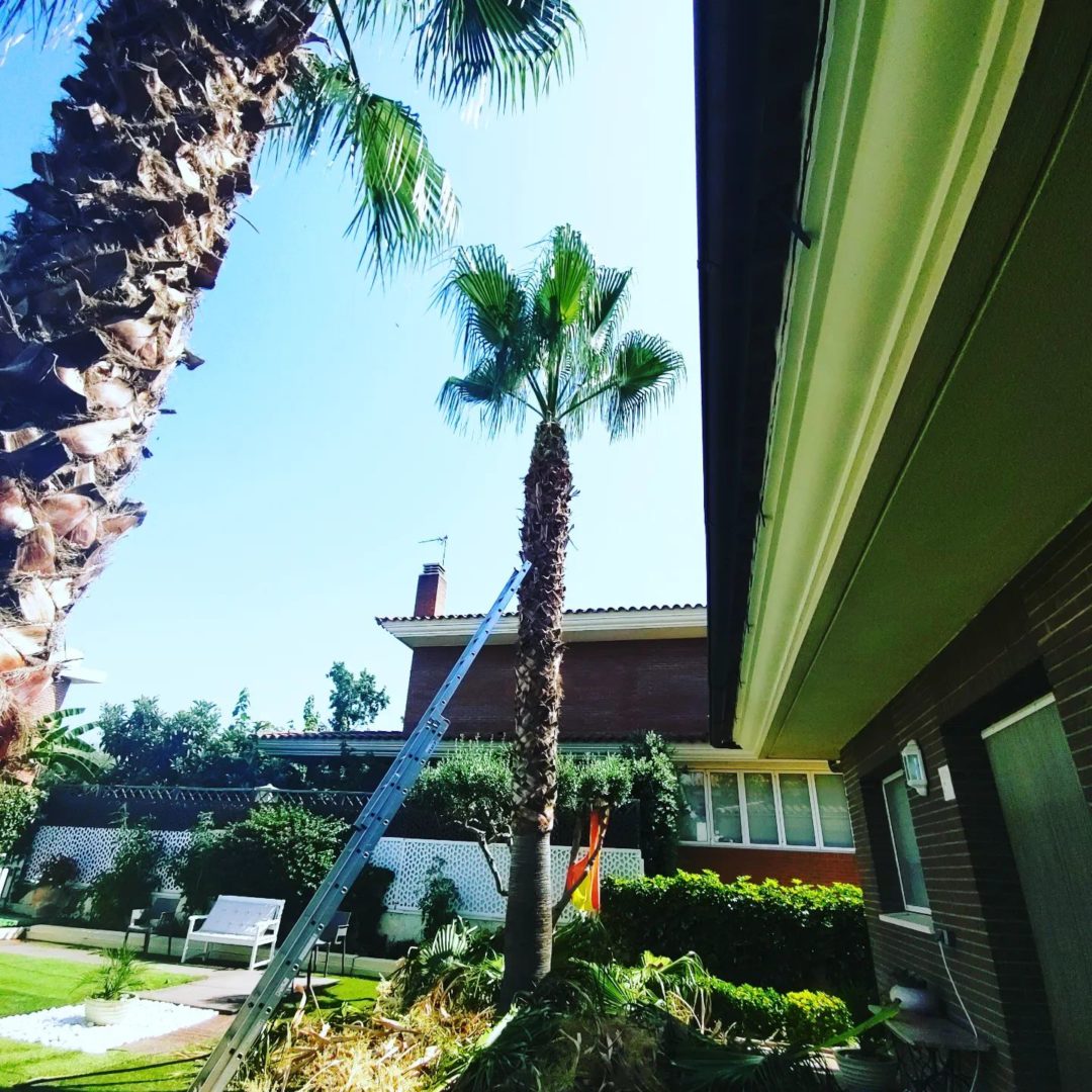 empresa de jardinería en Tarragona (8)